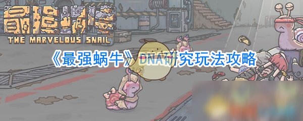 《最强蜗牛》DNA研究玩法攻略