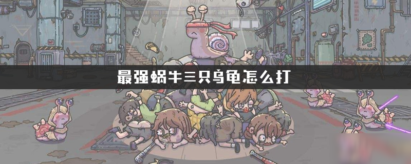 最强蜗牛三只乌龟怎么打