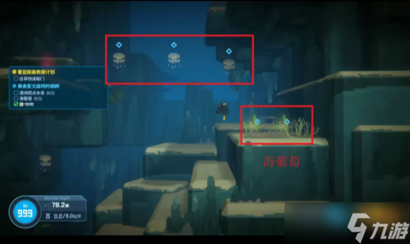 《潜水员戴夫》第一章全主线攻略流程