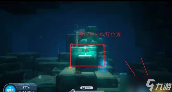 《潜水员戴夫》第二章全主线攻略流程