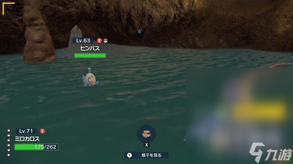 宝可梦朱紫碧之假面丑丑鱼捕获位置详情