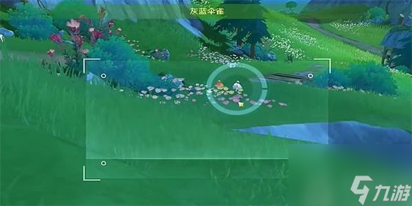 原神光影研学旖旎水界第四天攻略-原神枫丹特有飞禽收集攻略