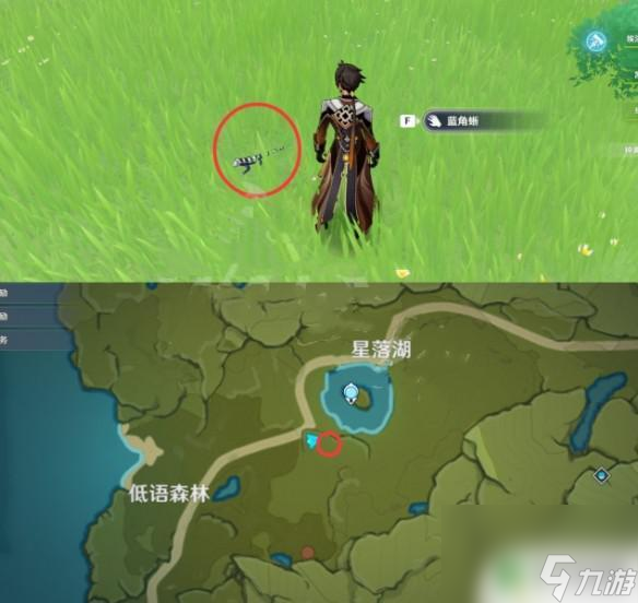 原神哪里获得蜥蜴 原神蜥蜴在哪个地点可以抓