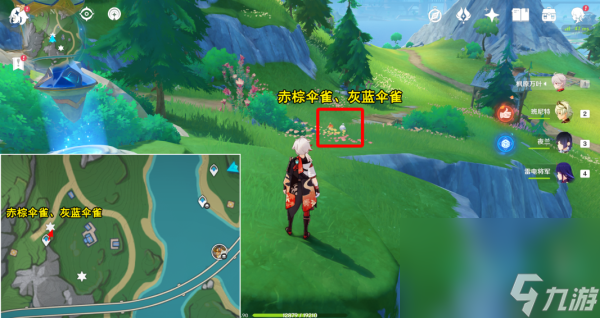 《原神》光影研学旖旎水界枫丹特有飞禽通关方法