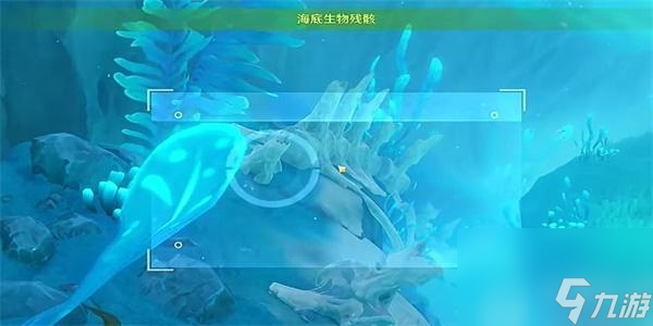 原神光影研学旖旎水界第五天攻略-原神水下沉落物收集攻略