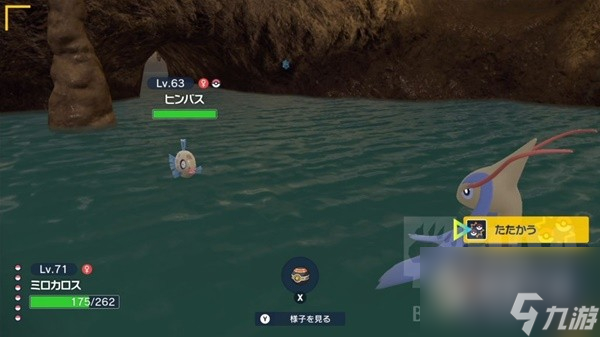 宝可梦朱紫碧之假面丑丑鱼捕获位置介绍