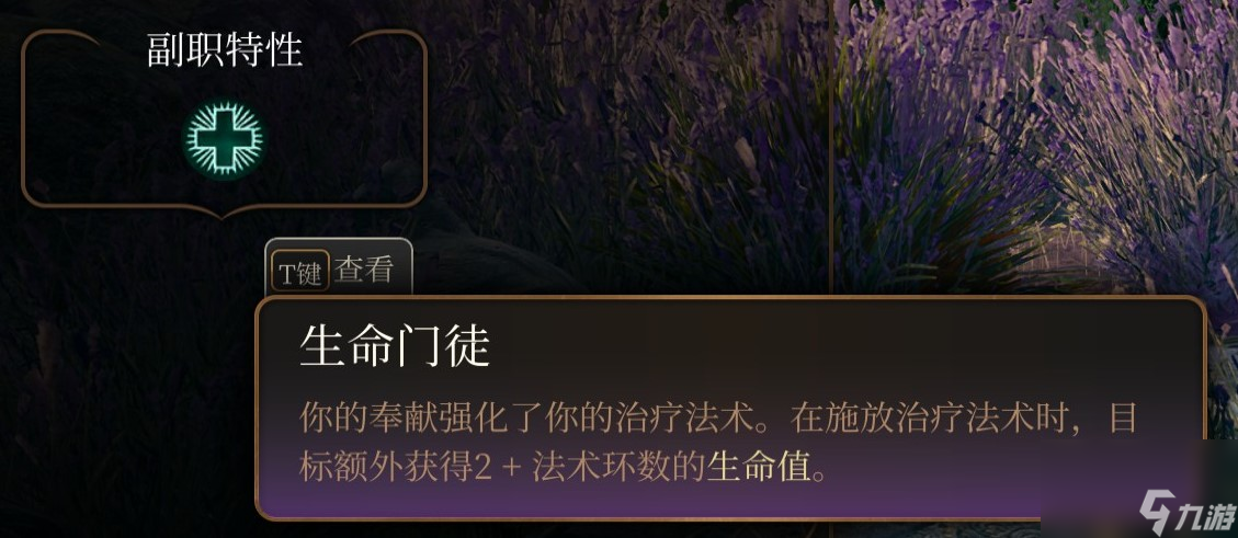 博德之门3 全职业介绍