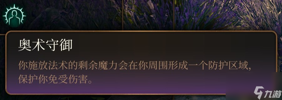 博德之门3 法师职业介绍