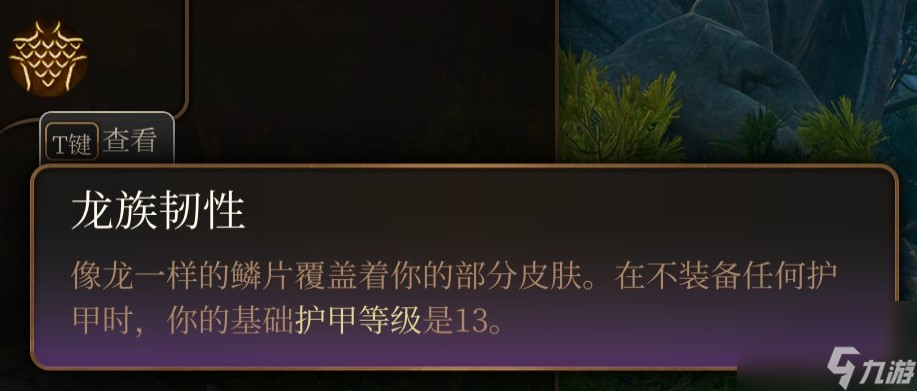 博德之门3 全职业介绍