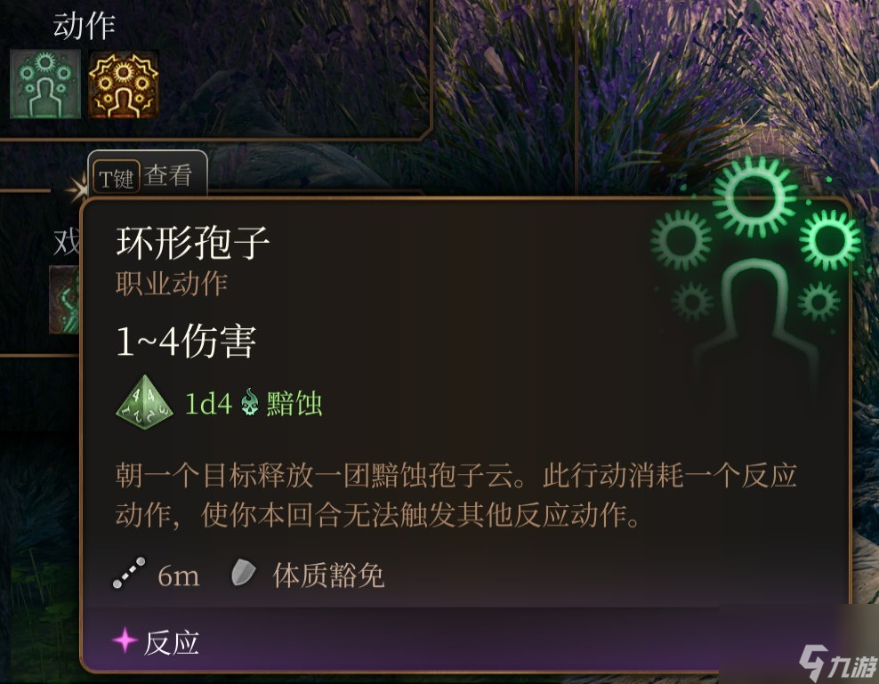 博德之门3 全职业介绍