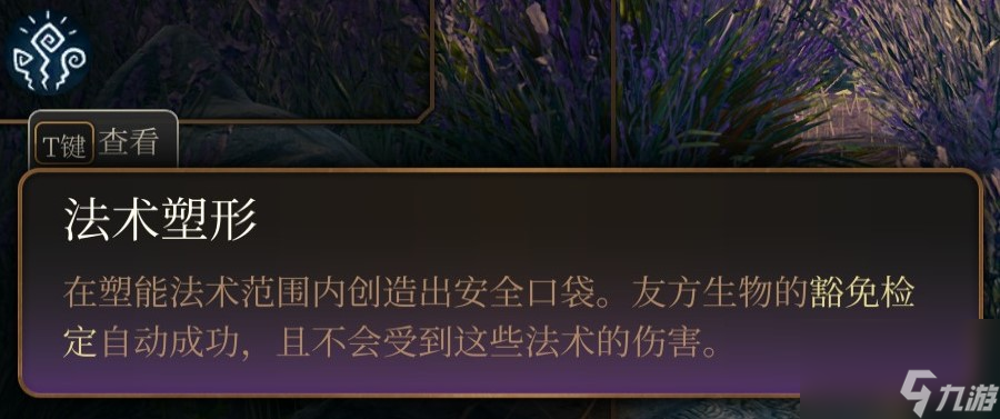 博德之门3 法师职业介绍