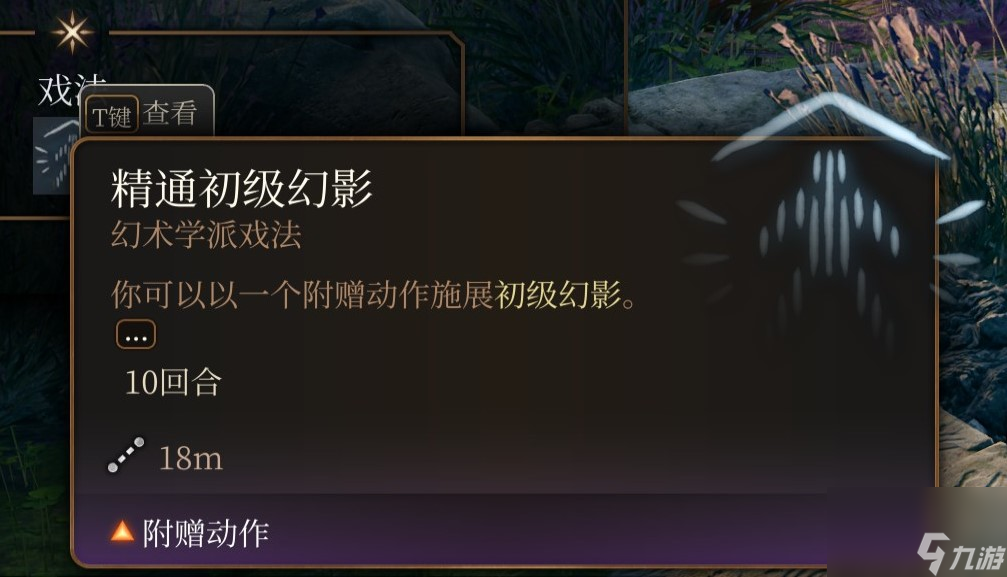 博德之门3 法师职业介绍