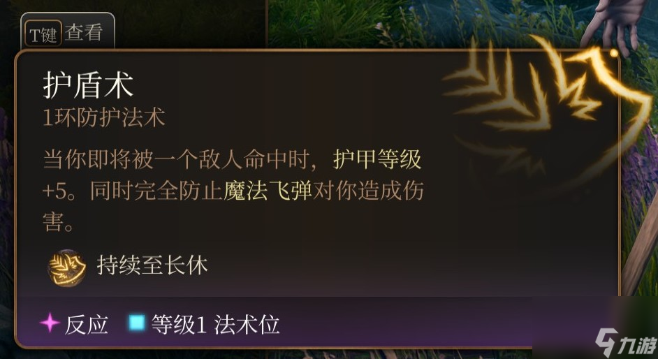 博德之门3 全职业介绍