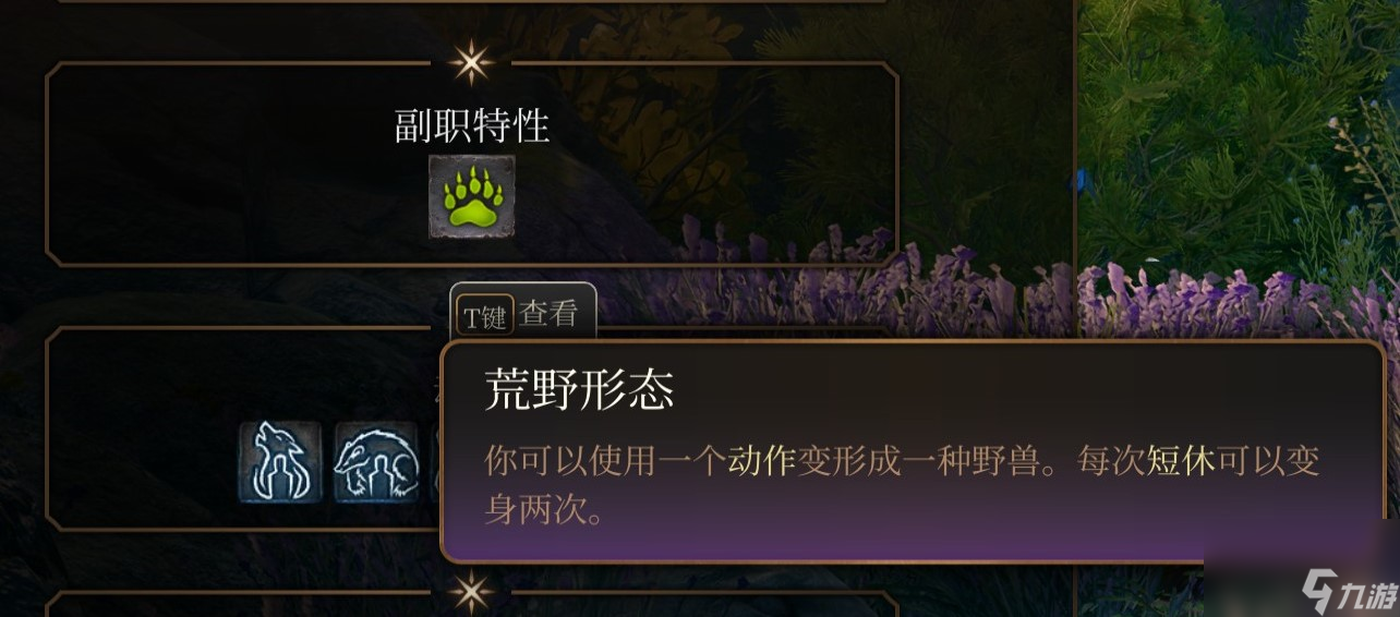 博德之门3 全职业介绍