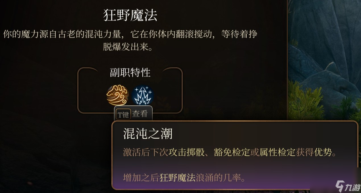 博德之门3 全职业介绍