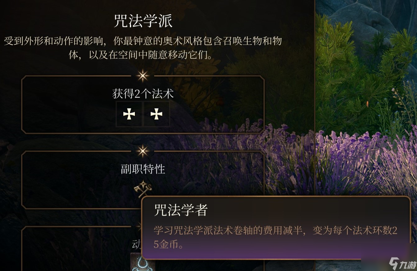 博德之门3 法师职业介绍