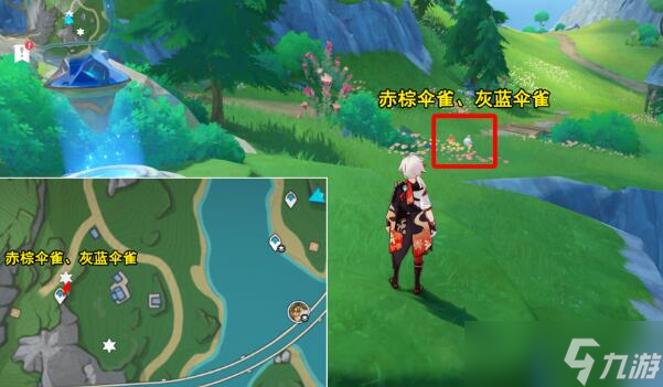 原神光影研学旖旎水界第四天怎么过