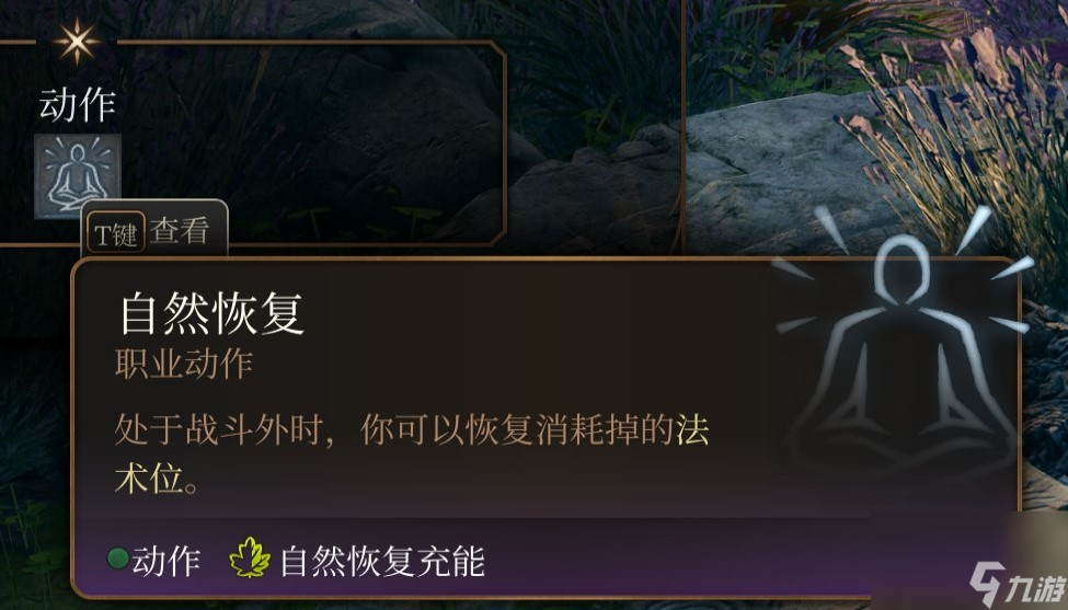 博德之门3 全职业介绍