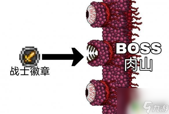 泰拉瑞亚战士饰品毕业 泰拉瑞亚战士毕业饰品推荐