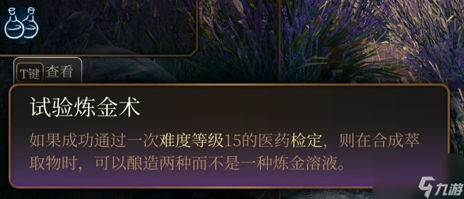 博德之门3 法师职业介绍