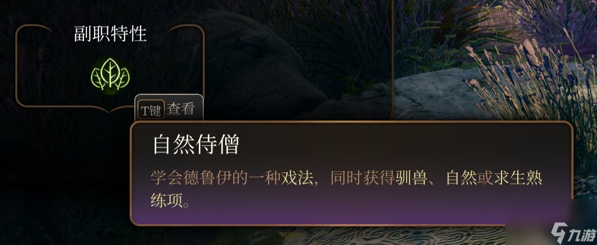 博德之门3 全职业介绍