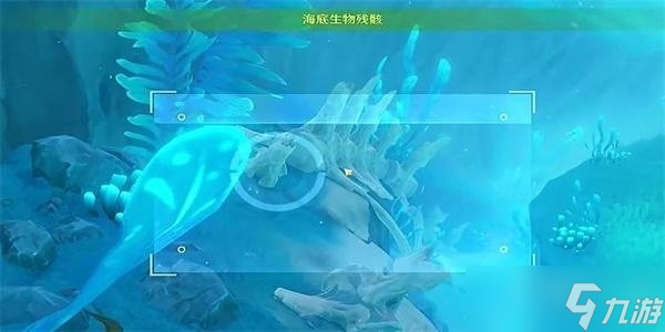 原神光影研学旖旎水界第五天拍照位置分享 记录沉船与海底生物残骸怎么完成