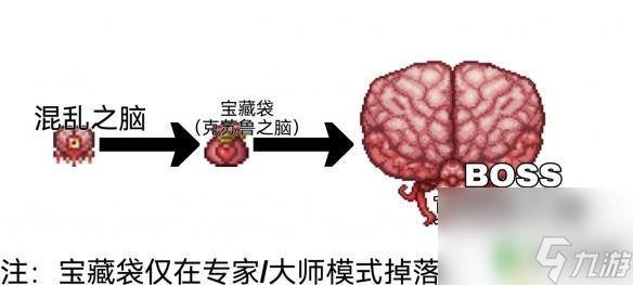 泰拉瑞亚战士饰品毕业 泰拉瑞亚战士毕业饰品推荐