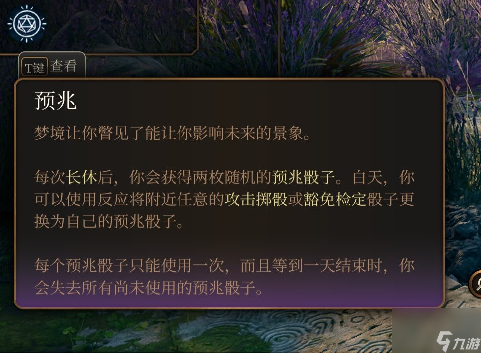 博德之门3 法师职业介绍
