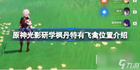 原神光影研学枫丹特有飞禽位置在哪里