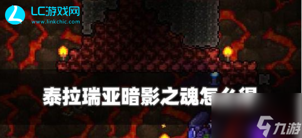 泰拉瑞亚如何获得暗影之魂-泰拉瑞亚暗影之魂获得方法