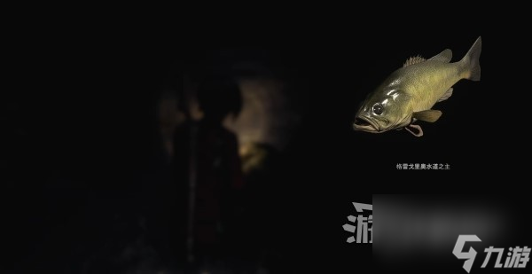 《生化危机4重制版》逆命殊途DLC全悬赏任务攻略 艾达王DLC悬赏任务位置
