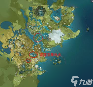 原神莲蓬在哪里获得（原神莲蓬采集位置分布图）