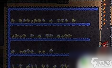 泰拉瑞亚种植物 泰拉瑞亚种植攻略如何建造农场