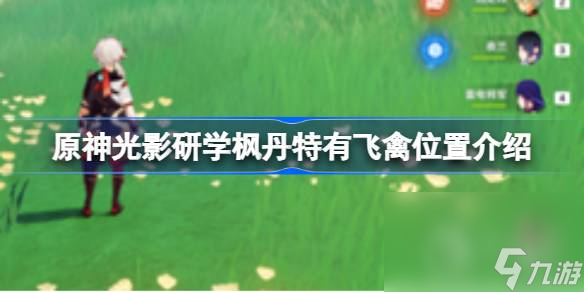 原神光影研学枫丹特有飞禽位置在哪里
