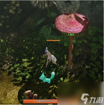 命运方舟巨型蘑菇岛之心怎么获得 命运方舟巨型蘑菇岛之心获取攻略
