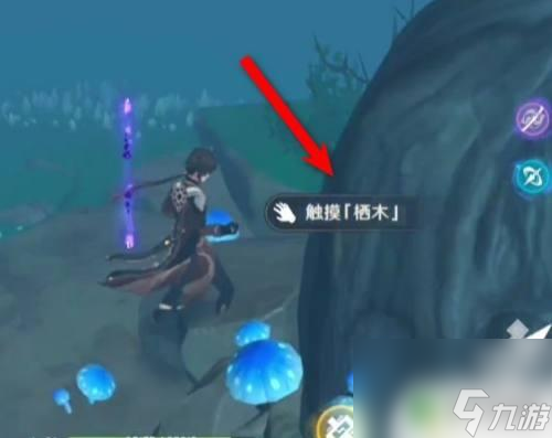 原神稻妻海域污染怎么解决 原神稻妻鹤观岛迷雾去除攻略分享