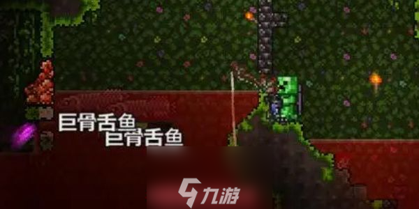 泰拉瑞亚岩浆钓鱼要什么条件-岩浆钓鱼四个条件一览
