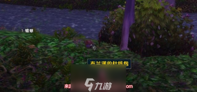魔兽世界乌龟服布兰诺尔的针线包任务攻略