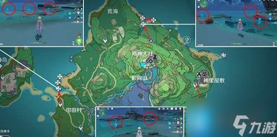 原神海灵芝哪里多-海灵芝采集点2023大全