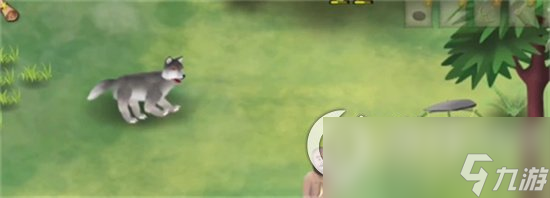 《挨饿荒野》狼怎么找 找狼方法分享