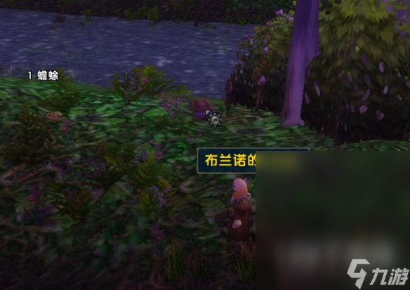 魔兽世界乌龟服布兰诺尔的针线包任务怎么完成