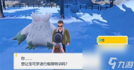 宝可梦朱紫固定npc介绍