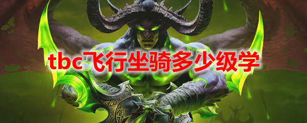魔兽世界tbc飞行坐骑多少级学