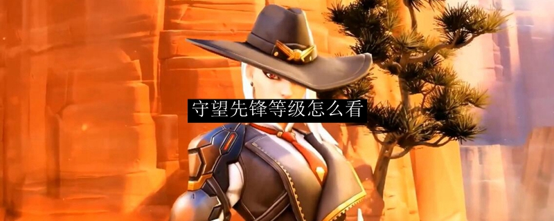守望先锋等级怎么看