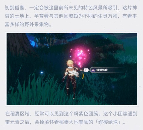 《原神》2.0绯樱绣在哪采集