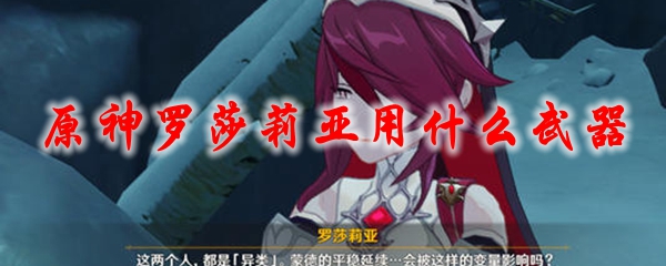 原神罗莎莉亚用什么武器