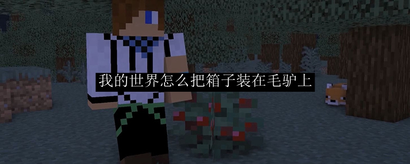 我的世界怎么把箱子装在毛驴上