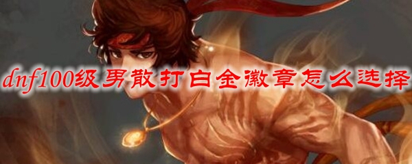 dnf100级男散打白金徽章怎么选择