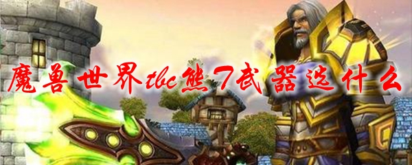魔兽世界tbc熊T武器选什么