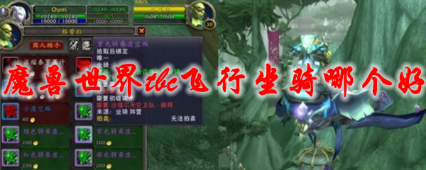 魔兽世界tbc飞行坐骑哪个好